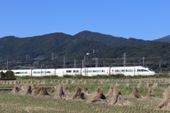 秋晴れの田んぼ