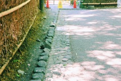 嵐山にて