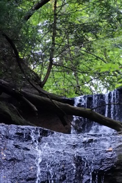 滝