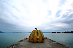 直島 yayoi kusama