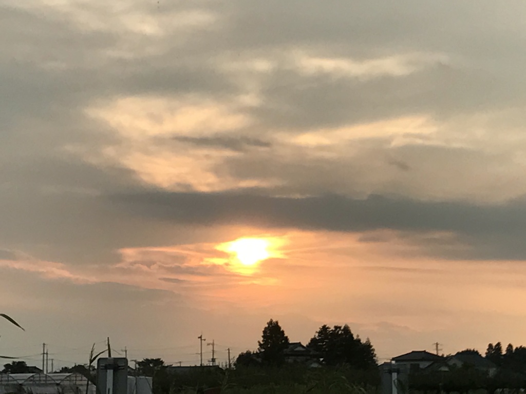 夕日