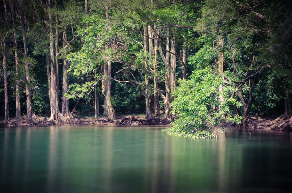 Shing Mun Reservoir