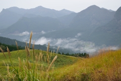 曽爾高原