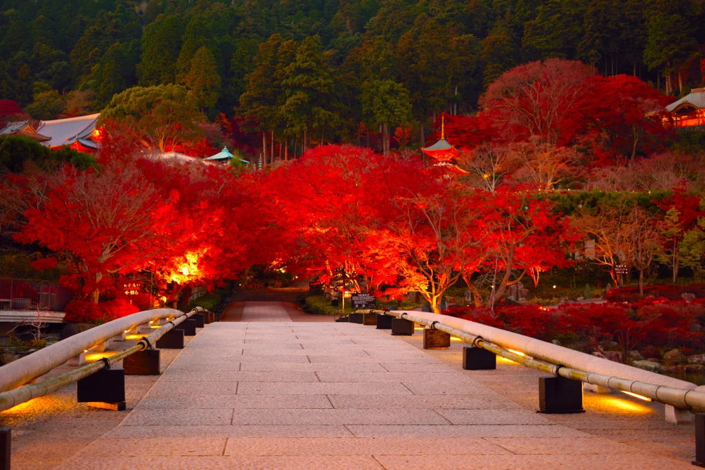 勝尾寺