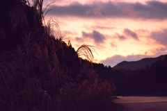 大峰山麓の夕陽