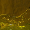 P1170547 