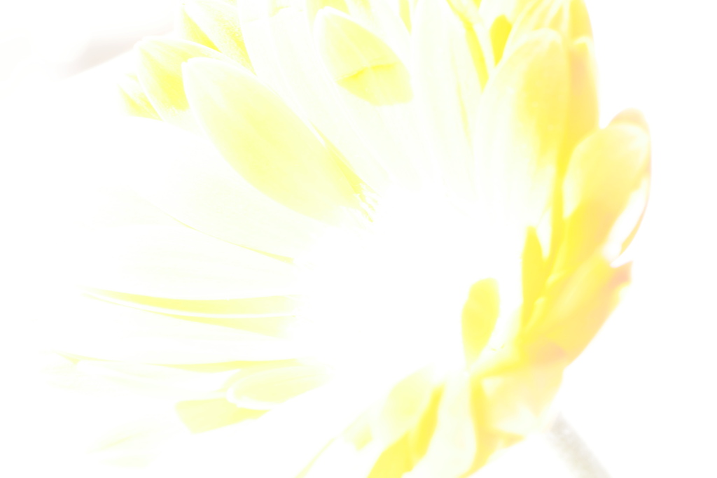 春霞に誘われて