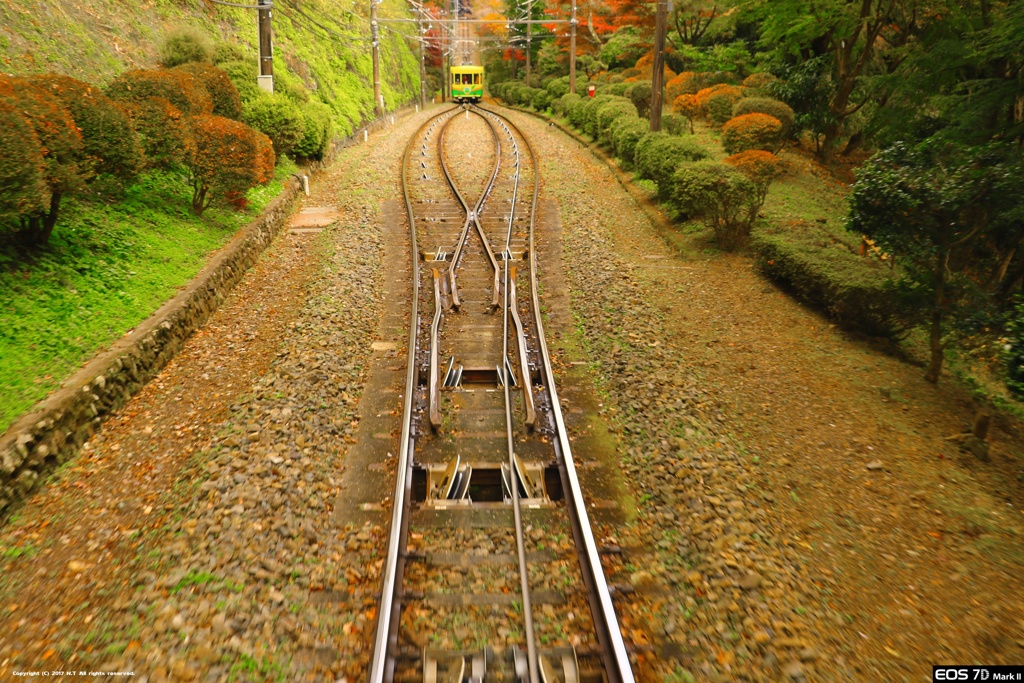 ケーブルカーと高尾山のプチ紅葉