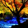 豪華紅葉ショット