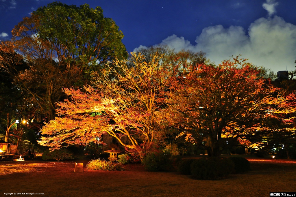 紅葉と大名庭園のライトアップ 2017