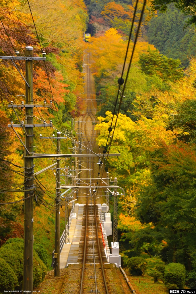 ケーブルカーと高尾山のプチ紅葉