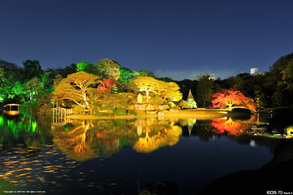 紅葉と大名庭園のライトアップ 2017