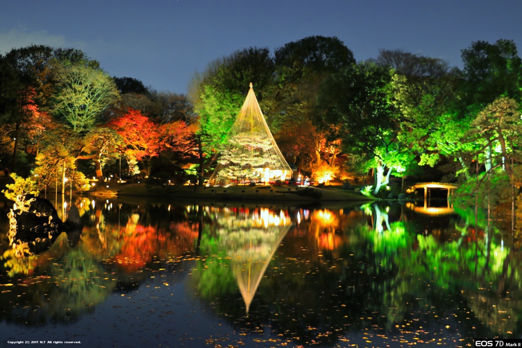 紅葉と大名庭園のライトアップ 2017