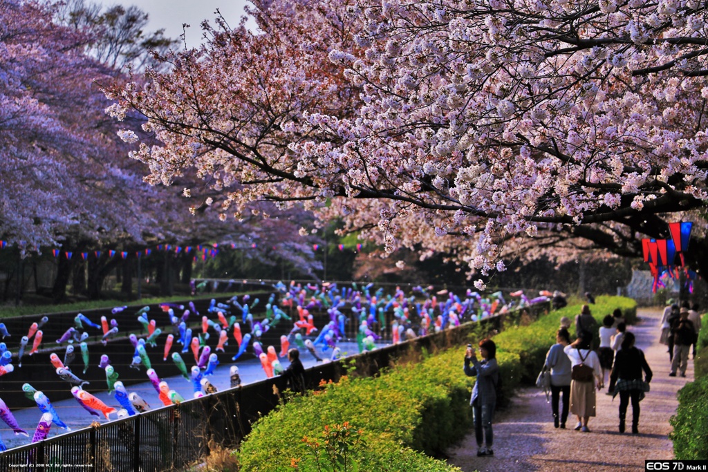 ４月・５月の名物を同時に。