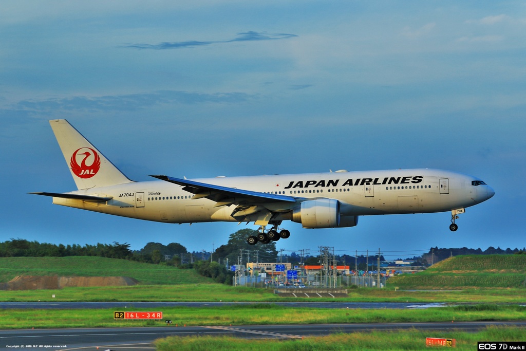 十余三東雲の丘で飛行機三昧！