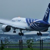 ANA サバ二郎