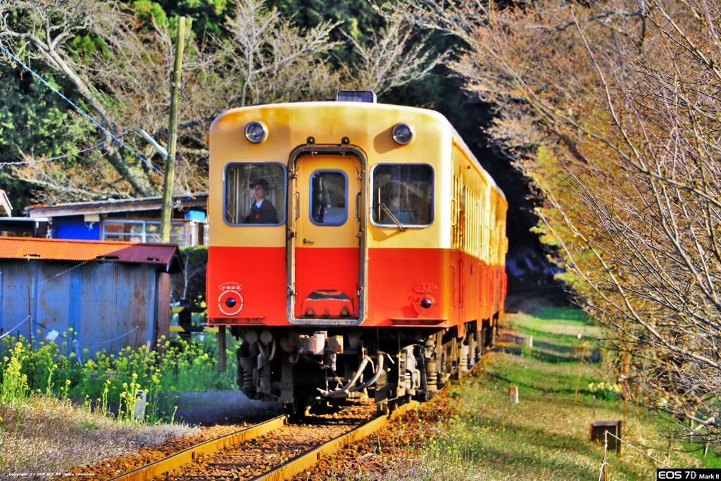 小湊鉄道