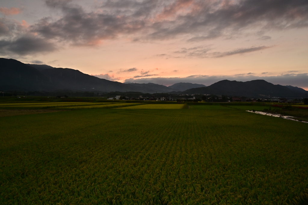 秋の風景