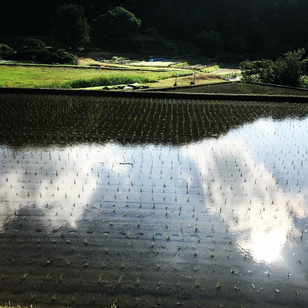 梅雨ですよね・・・いい天気です。