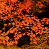 長瀞の夜　2