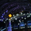 STARS