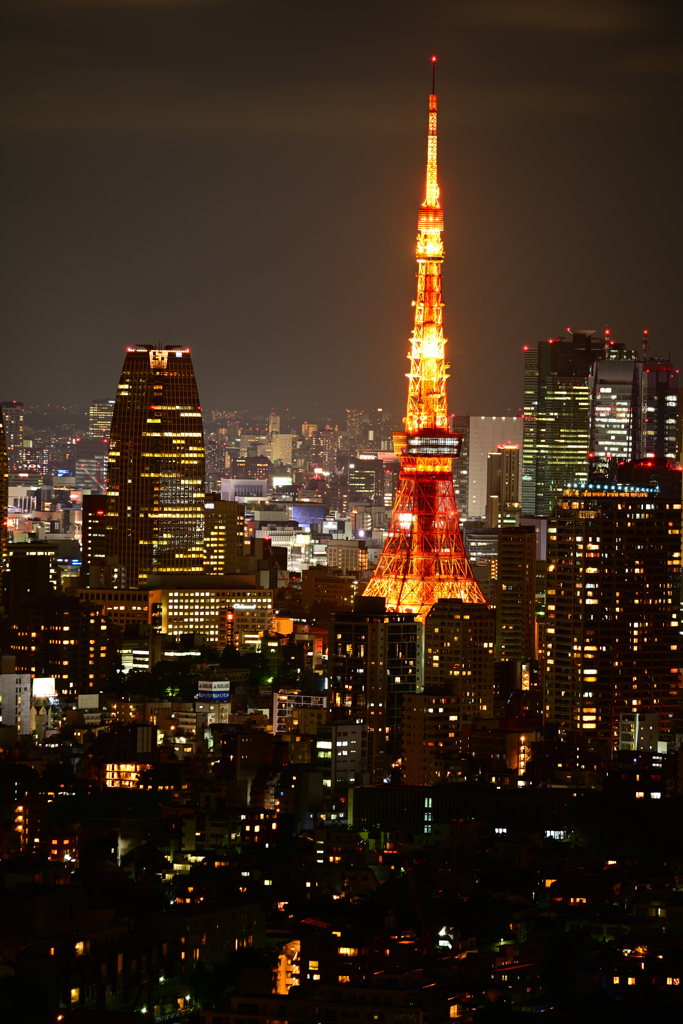 東京散歩