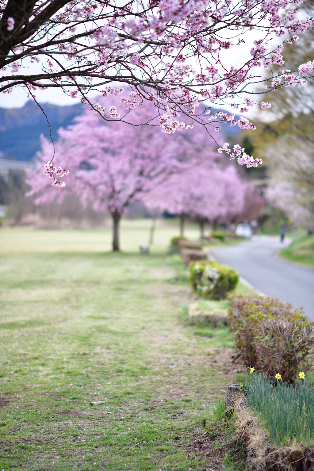 河川敷にて