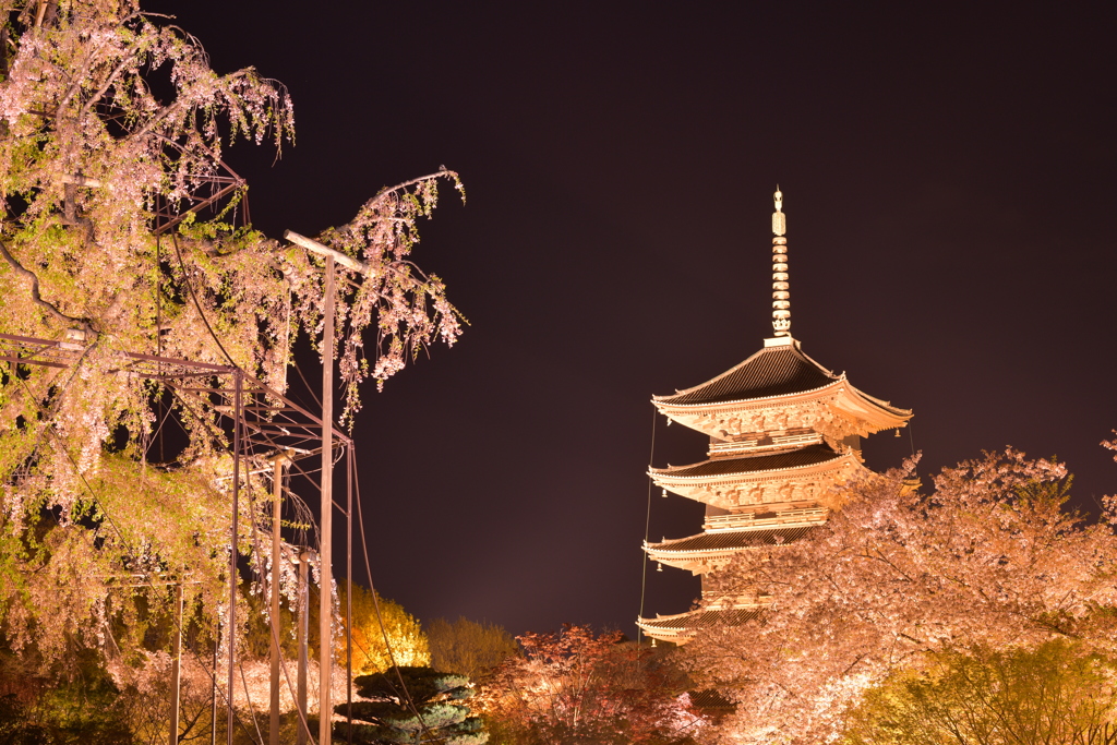 東寺の夜