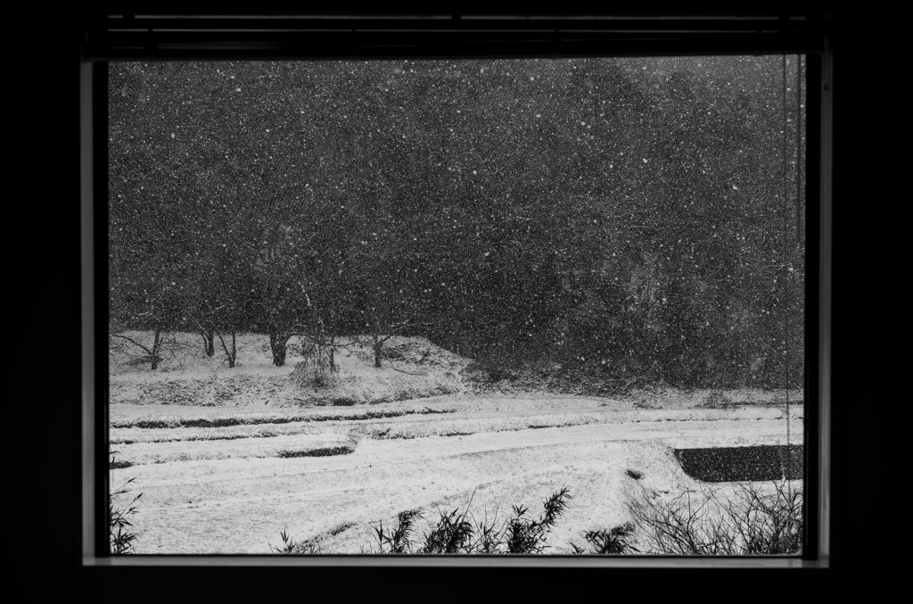 雪がふる・・