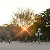 キラッと