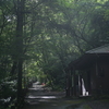 菊池渓谷２