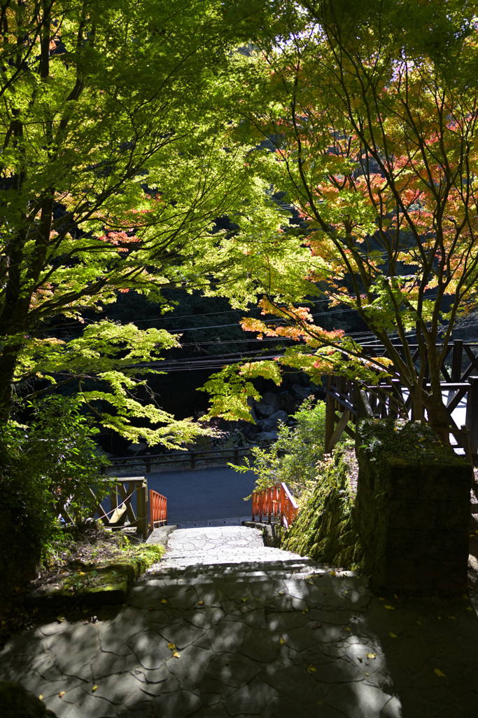 とある公園