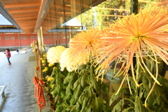 東照宮