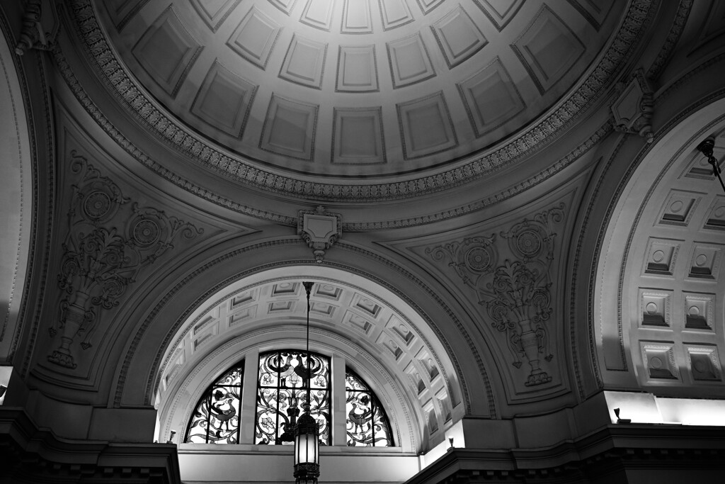National Museum of Nature and Science