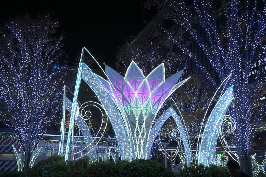 FUKUOKA Christmas Market