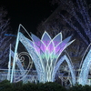 FUKUOKA Christmas Market
