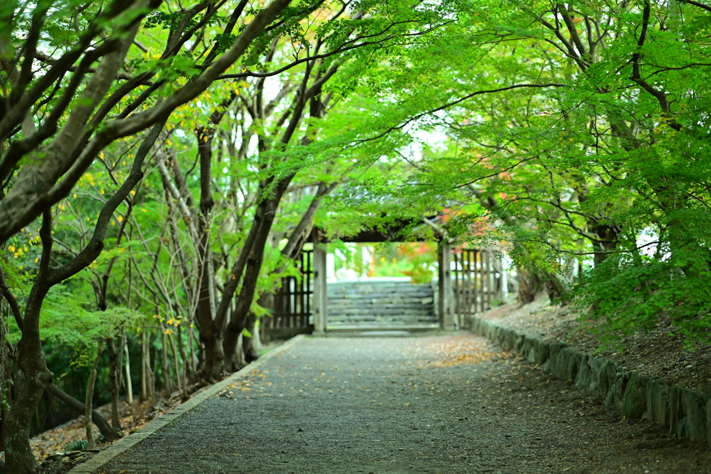 帰路