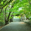 帰路