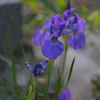 DSC_7605_00001