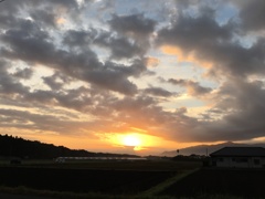朝日