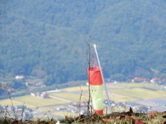 山頂から