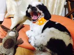 眠いよ〜