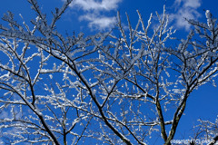 雪と青空