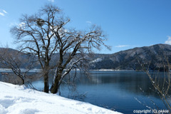 余呉湖の雪景色