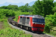 レッドベア　DF200　貨物列車