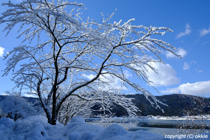 余呉湖の雪景色
