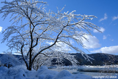 余呉湖の雪景色