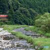 緑の中の首都圏色