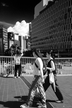 あの、夏の日