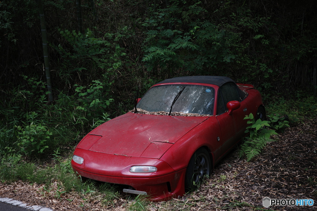 Crimson